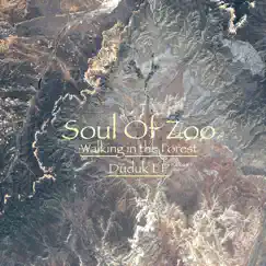 Walking in the Forest - Single by Soul Of Zoo album reviews, ratings, credits