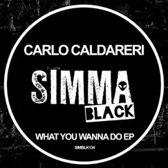 What You Wanna Do - Single by Carlo Caldareri album reviews, ratings, credits