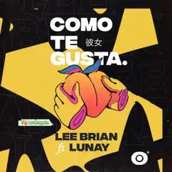 Como Te Gusta (feat. Lunay) - Single by Leebrian album reviews, ratings, credits