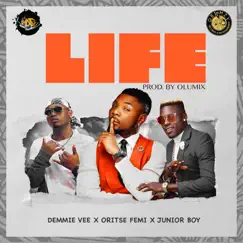 Life (feat. Oritse Femi & Junior Boy) - Single by Demmie Vee album reviews, ratings, credits