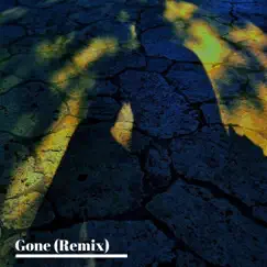 Gone (Remix) - Single by Seiji Furukawa album reviews, ratings, credits