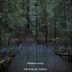 Life from the Lifeless by Matthew Avery album reviews, ratings, credits