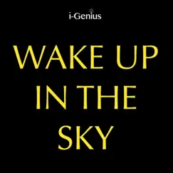 Wake Up In the Sky (Instrumental Remix) Song Lyrics