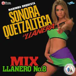 Mix Llanero 8: De Rodillas Te Pido / Lágrimas del Corazón / Solo Dejé Yo a Mi Padre / Dos Cartas y una Flor / Por Eso Vuelve Song Lyrics