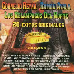20 Éxitos Originales Colección De Oro, Vol. 3 by Los Relámpagos del Norte, Cornelio Reyna & Ramón Ayala album reviews, ratings, credits
