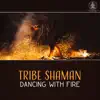 Tribe Shaman: Dancing with Fire – Spirit & Earth, Way of Life, Deep Meditation, Vivid Imagination, Native American with Nature album lyrics, reviews, download