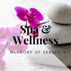 Spa & Wellness - New Age, Harmony of Senses, Soothing Music, Paradise Background Music for Sensual Massage by Six Senses Spa album reviews, ratings, credits