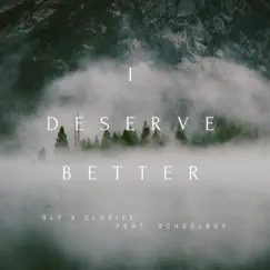 I Deserve Better (feat. Schoolboy) Song Lyrics