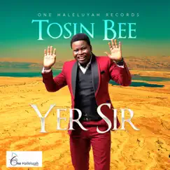Yer Sir - Single by Tosin Bee album reviews, ratings, credits