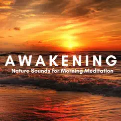 Kundalini Awakening Song Lyrics