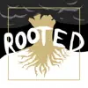 Rooted (feat. Dan Mock) - Single album lyrics, reviews, download