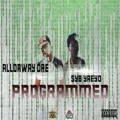 Programmed (feat. YaeYo) - Single by Alldaway Dre album reviews, ratings, credits
