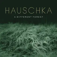 A Different Forest by Hauschka album reviews, ratings, credits