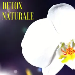 Detox Naturale - Musiche Giapponesi per Sottofondo Musicale, Pace e Benessere Interiore by Mental Detox Series album reviews, ratings, credits