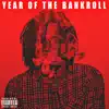 Year of the Bankroll (Deluxe) album lyrics, reviews, download