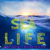 Sea of Life (feat. Messenjah Selah) - Single album lyrics, reviews, download