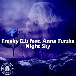 Night Sky (Radio Edit) [feat. Anna Turska] Song Lyrics
