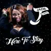 Here to Stay - Single album lyrics, reviews, download