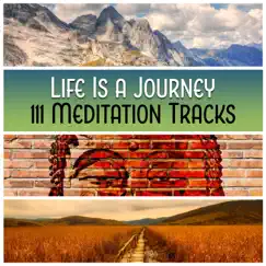 Life Is a Journey – 111 Meditation Tracks: Mindfulness Therapy, Vision and Connection, Music for Reflection & Yoga, Spiritual Healing by Om Meditation Music Academy album reviews, ratings, credits
