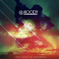 Too Good at Goodbyes (Deep House Version) Song Lyrics