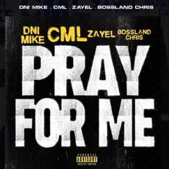 Pray for Me (feat. C.M.L, Zayel & Bossland Chris) - Single by Dni Mike album reviews, ratings, credits
