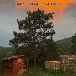 Night Bird - Single by Abe Abraham album reviews, ratings, credits