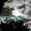 Walk Away !!! - Single album lyrics, reviews, download