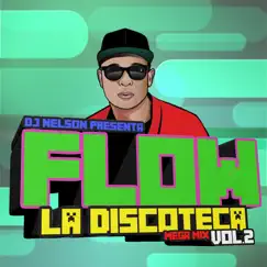Flow la Discoteca Mega Mix, Vol.2 - EP by DJ Nelson album reviews, ratings, credits