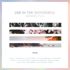 Live in the Wonderful by Lakewood Music album reviews, ratings, credits