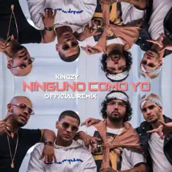 Ninguno Como Yo (Official Remix) [feat. Brray & Rafa Pabön] Song Lyrics