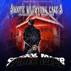 Spider Webb - Single by Snootie Wild & Yung Cakes album reviews, ratings, credits