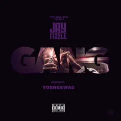 Gang - Single by Jay Fizzle album reviews, ratings, credits