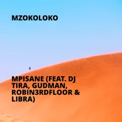 Mpisane (feat. DJ Tira, Gudman, Robin3rdfloor & Libra) - Single by Mzokoloko album reviews, ratings, credits