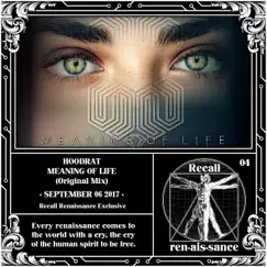 Meaning of Life - Single by Hoodrat album reviews, ratings, credits