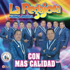 Con Más Calidad Vol. 13. Música de Guatemala para los Latinos by Marimba Orquesta La Pegajosa album reviews, ratings, credits