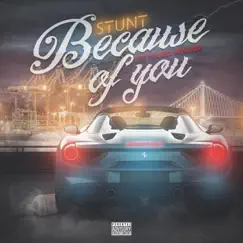 Because of You (feat. Young Walker) Song Lyrics