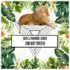 Sunlight Forever - Single album lyrics, reviews, download