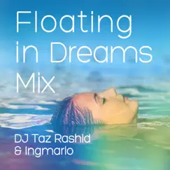 Floating in Dreams (Mix) [Therapeutic Music] by DJ Taz Rashid & Ingmarlo album reviews, ratings, credits