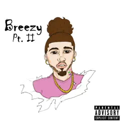 Breezy, Pt. 2 by Breezy album reviews, ratings, credits