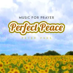 Perfect Peace by Peter Pads album reviews, ratings, credits
