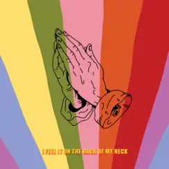 I Feel It on the Back of My Neck - Single by From Indian Lakes album reviews, ratings, credits