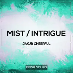 Mist / Intrigue - Single by Jakub Cheerful album reviews, ratings, credits