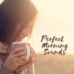 Perfect Morning Sounds: Calm and Soft Wake Up Music by Smooth Jazz Music Academy album reviews, ratings, credits