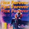 Flex Forever (feat. CHANGMO) - Single album lyrics, reviews, download