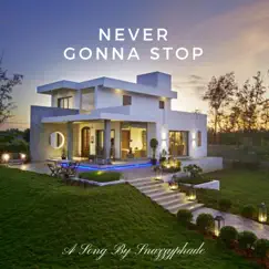 Never Gonna Stop Song Lyrics