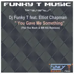 You Gave Me Something (Fka Mash Re-Glitch) [feat. Elliot Chapman] Song Lyrics