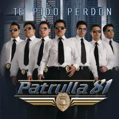 Te Pido Perdón Song Lyrics