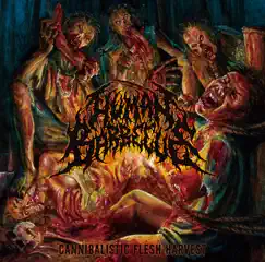 Cannibalistic Flesh Harvest by Human Barbecue album reviews, ratings, credits
