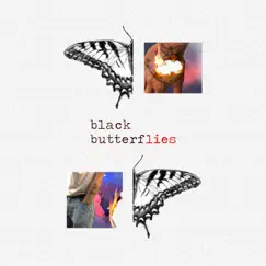 Black Butterflies Song Lyrics