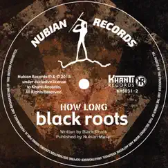 How Long - Single by Black Roots album reviews, ratings, credits
